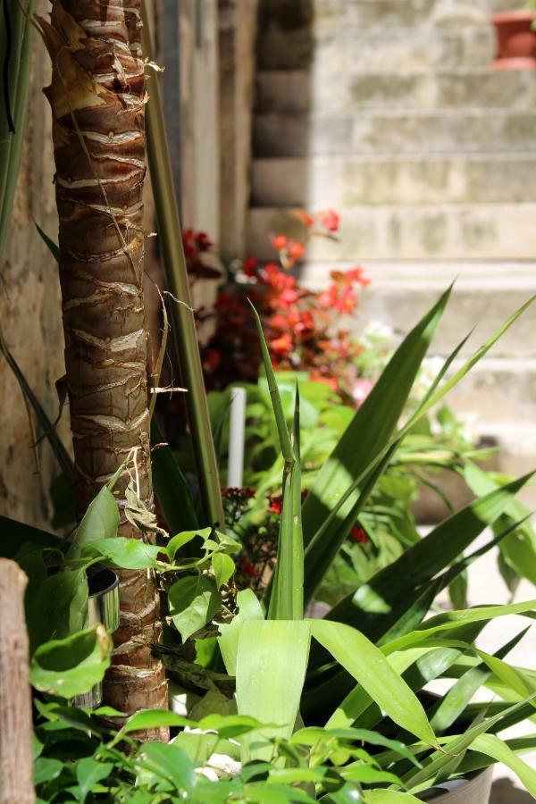 Street Garden Apartment Hvar Town Dış mekan fotoğraf